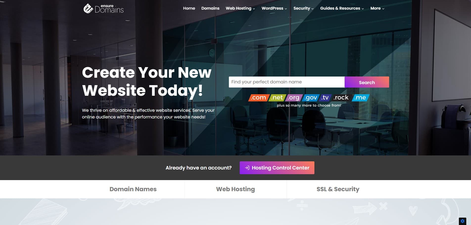 Ensure Domains website